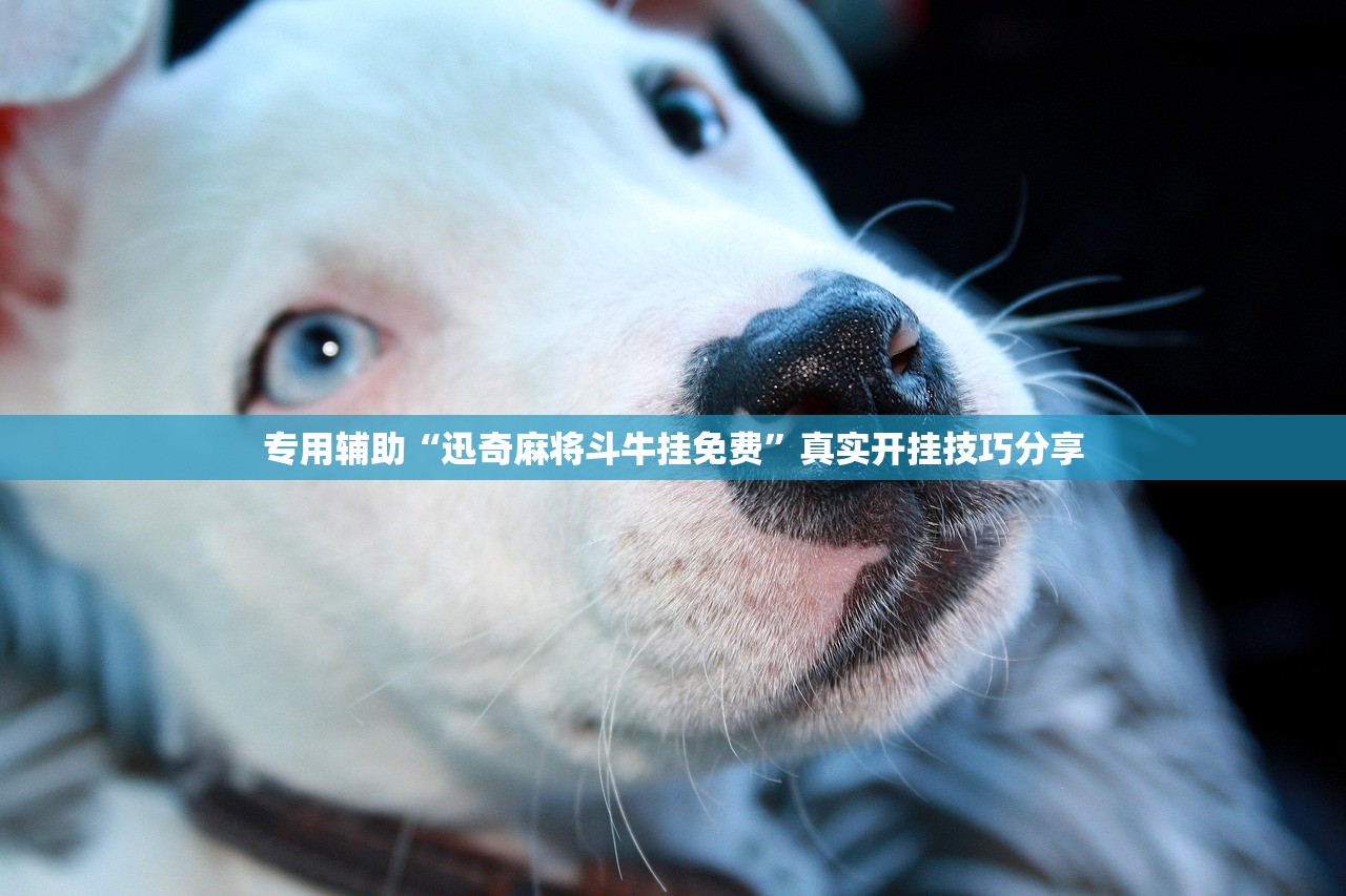 31省份新增33例确诊.31省区新增确诊327例