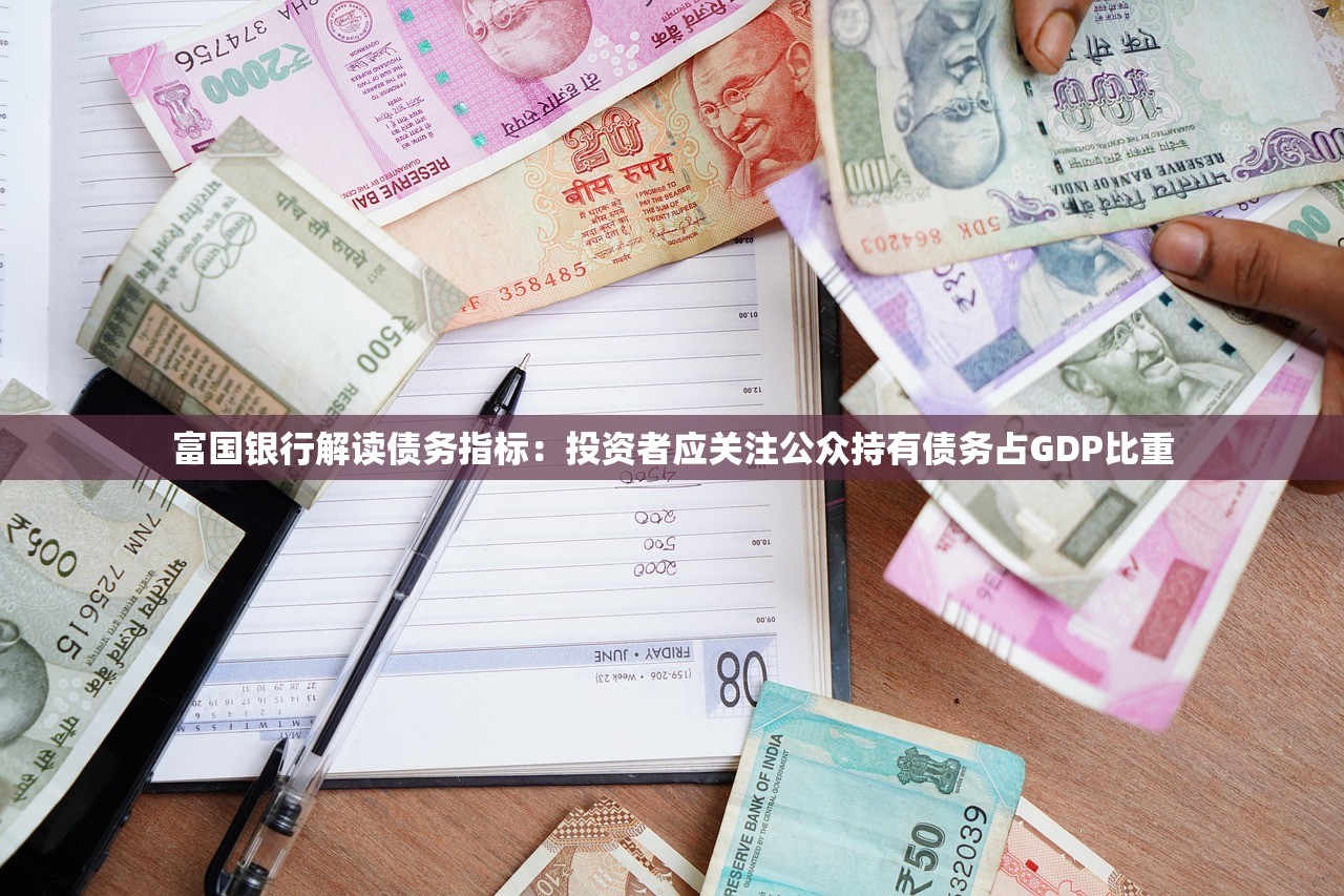 富国银行解读债务指标:投资者应关注公众持有债务占GDP比重 富国银行解读债务指标:投资者应关注公众持有债务占GDP比重