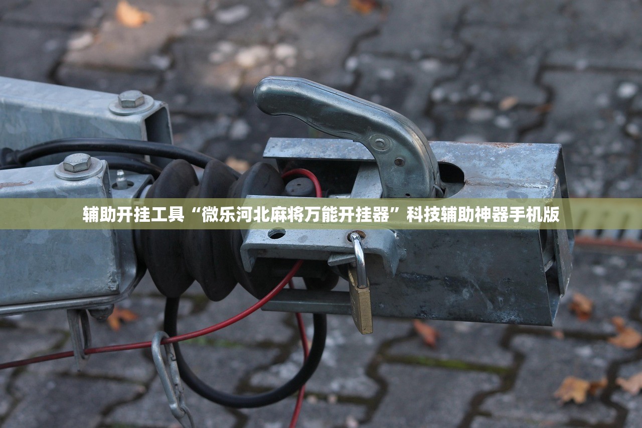 辅助开挂工具“微乐河北麻将万能开挂器	”科技辅助神器手机版