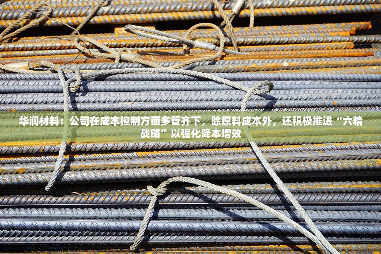 华润材料：公司在成本控制方面多管齐下	，除原料成本外，还积极推进“六精战略”以强化降本增效