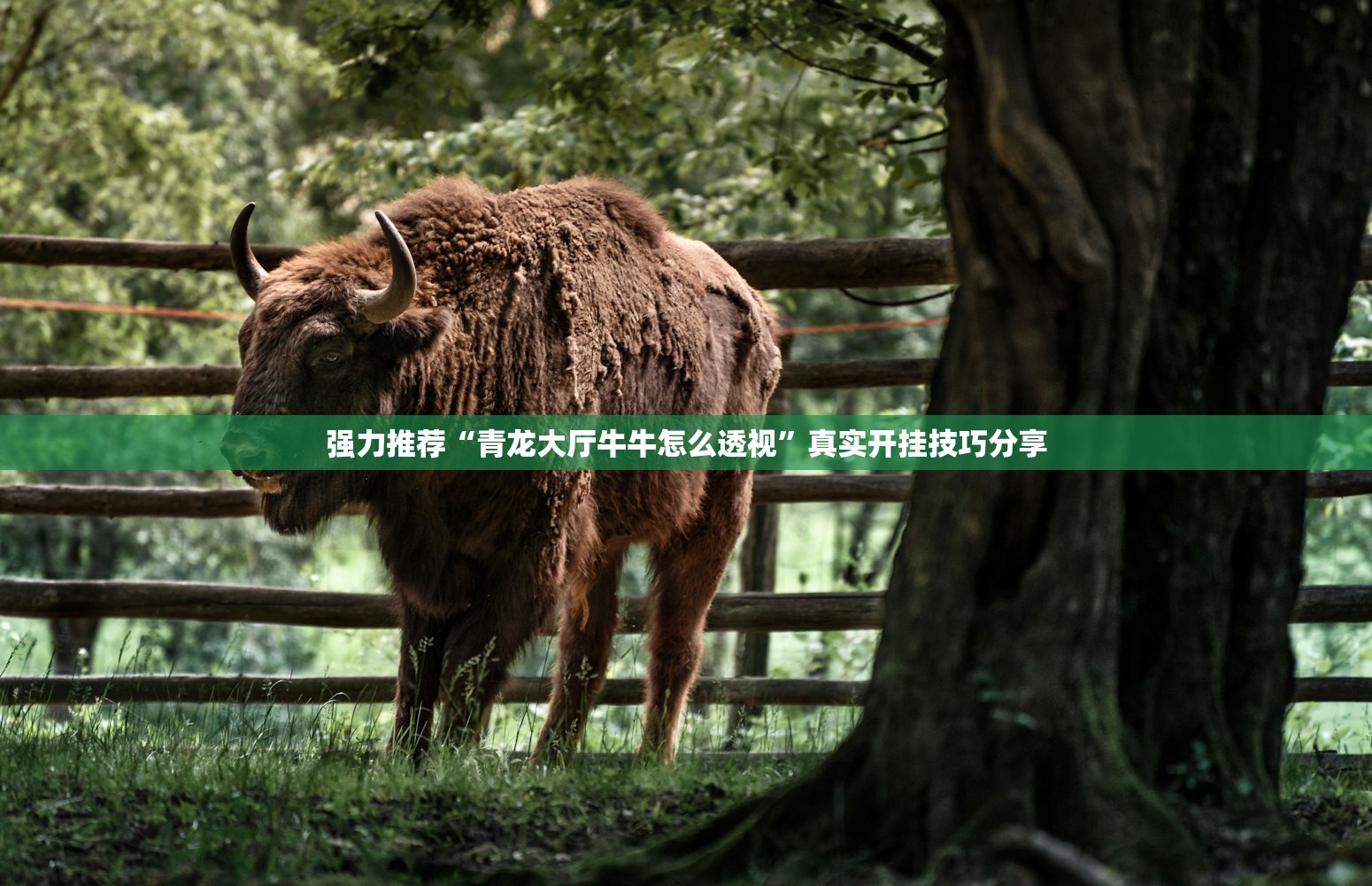 强力推荐“青龙大厅牛牛怎么透视	”真实开挂技巧分享