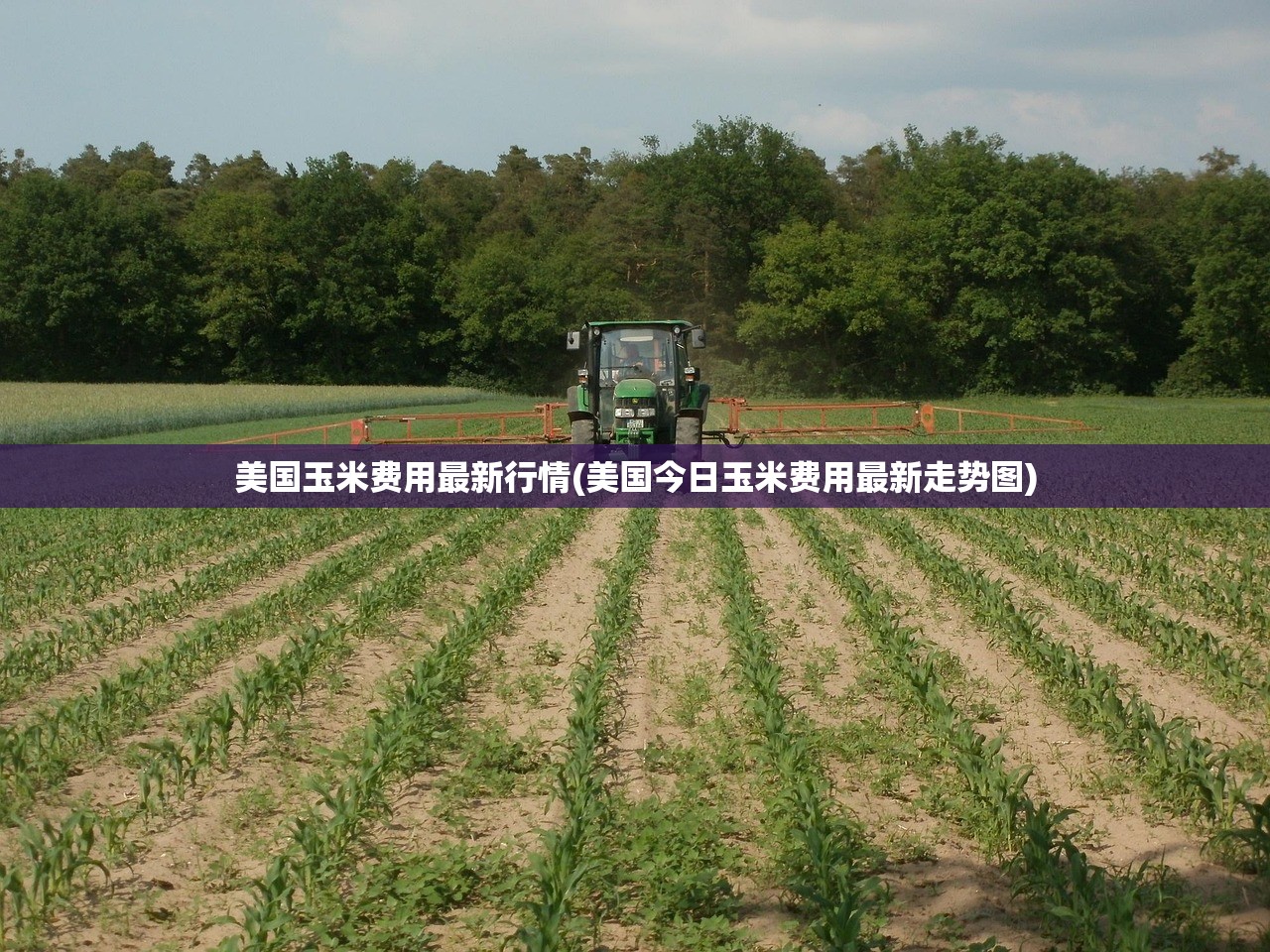 美国玉米费用最新行情(美国今日玉米费用最新走势图) 美国玉米费用最新行情(美国今日玉米费用最新走势图)