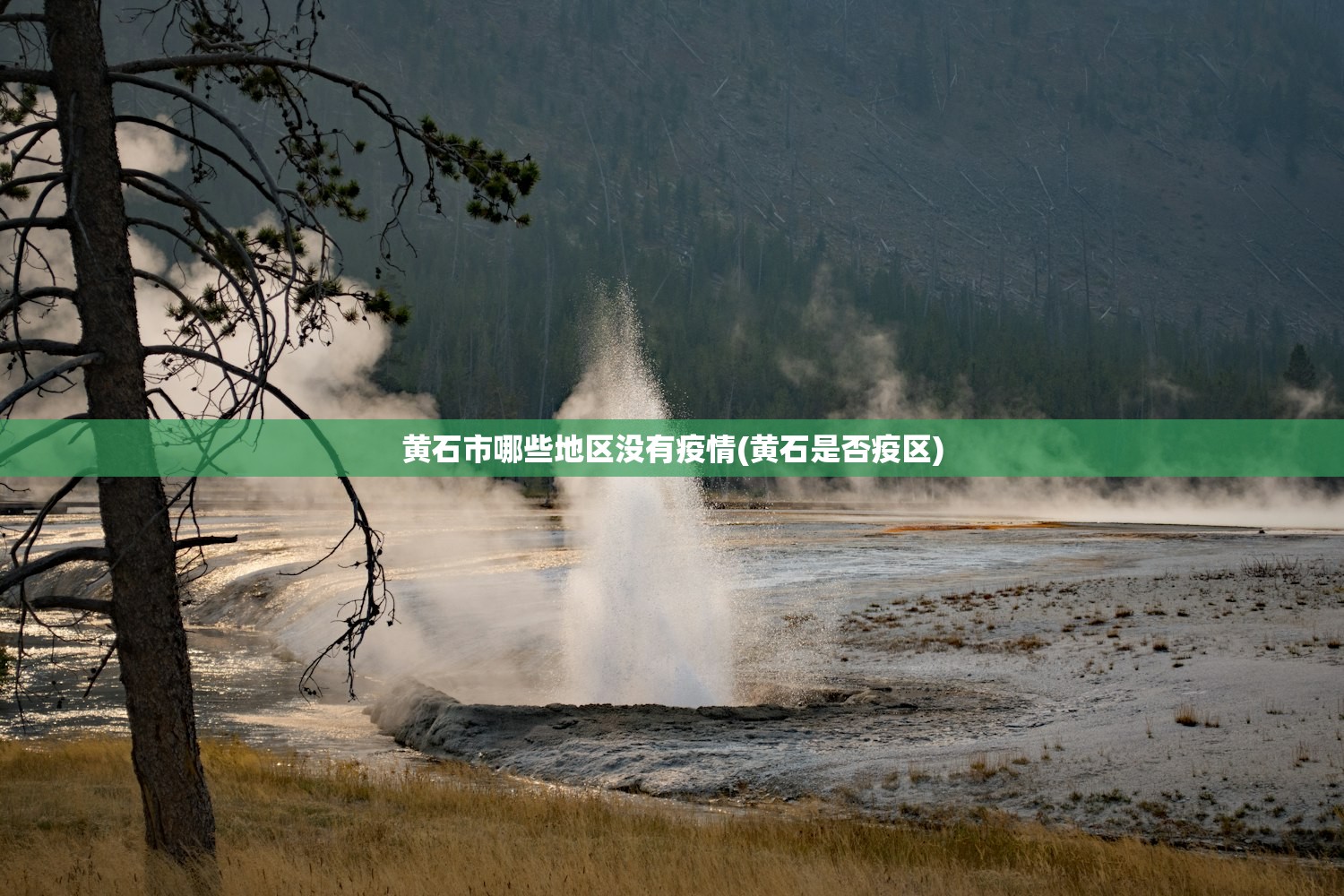 河北廊坊疫情最新消息,河北廊坊市最新疫情最新消息