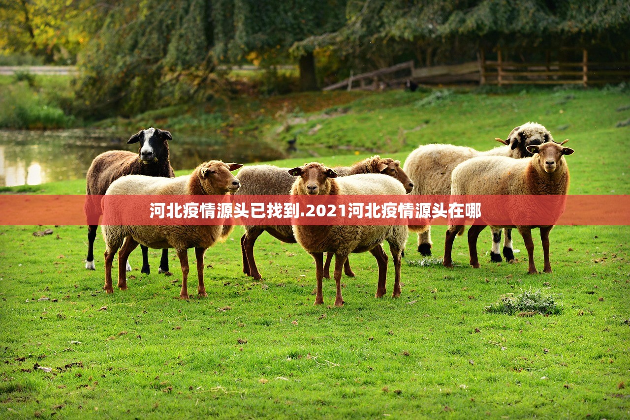 河北疫情源头已找到.2021河北疫情源头在哪