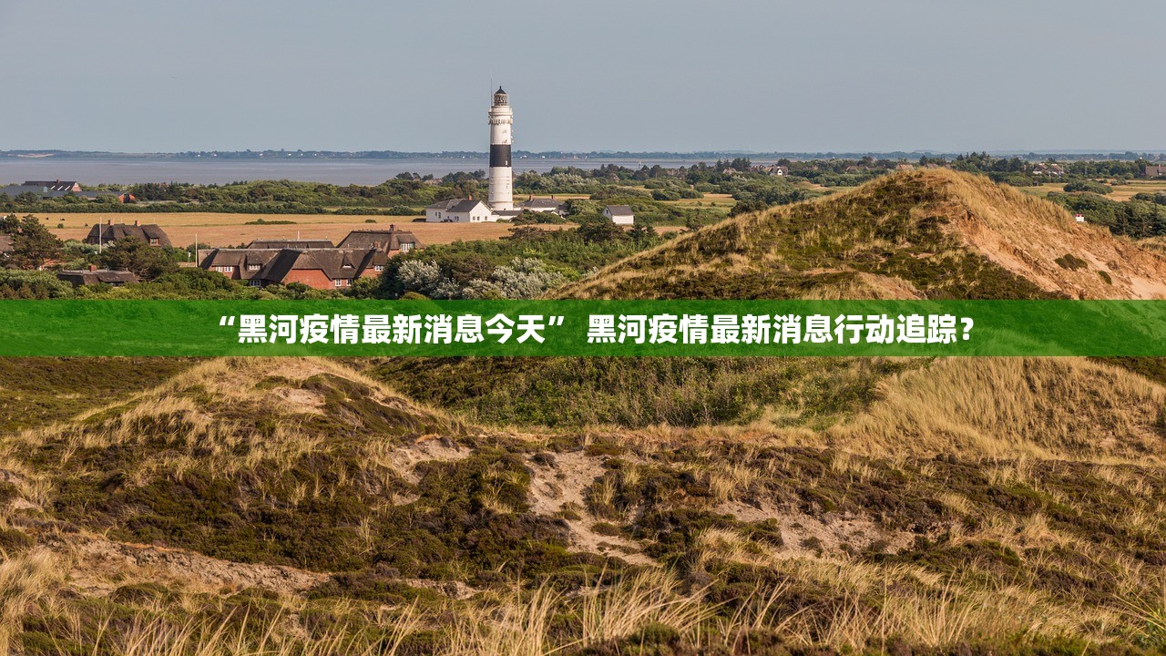 “黑河疫情最新消息今天” 黑河疫情最新消息行动追踪？