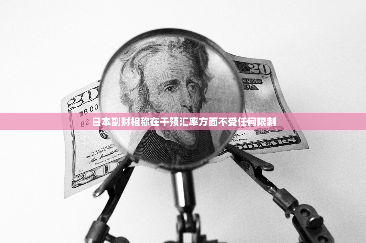日本副财相称在干预汇率方面不受任何限制 日本副财相称在干预汇率方面不受任何限制