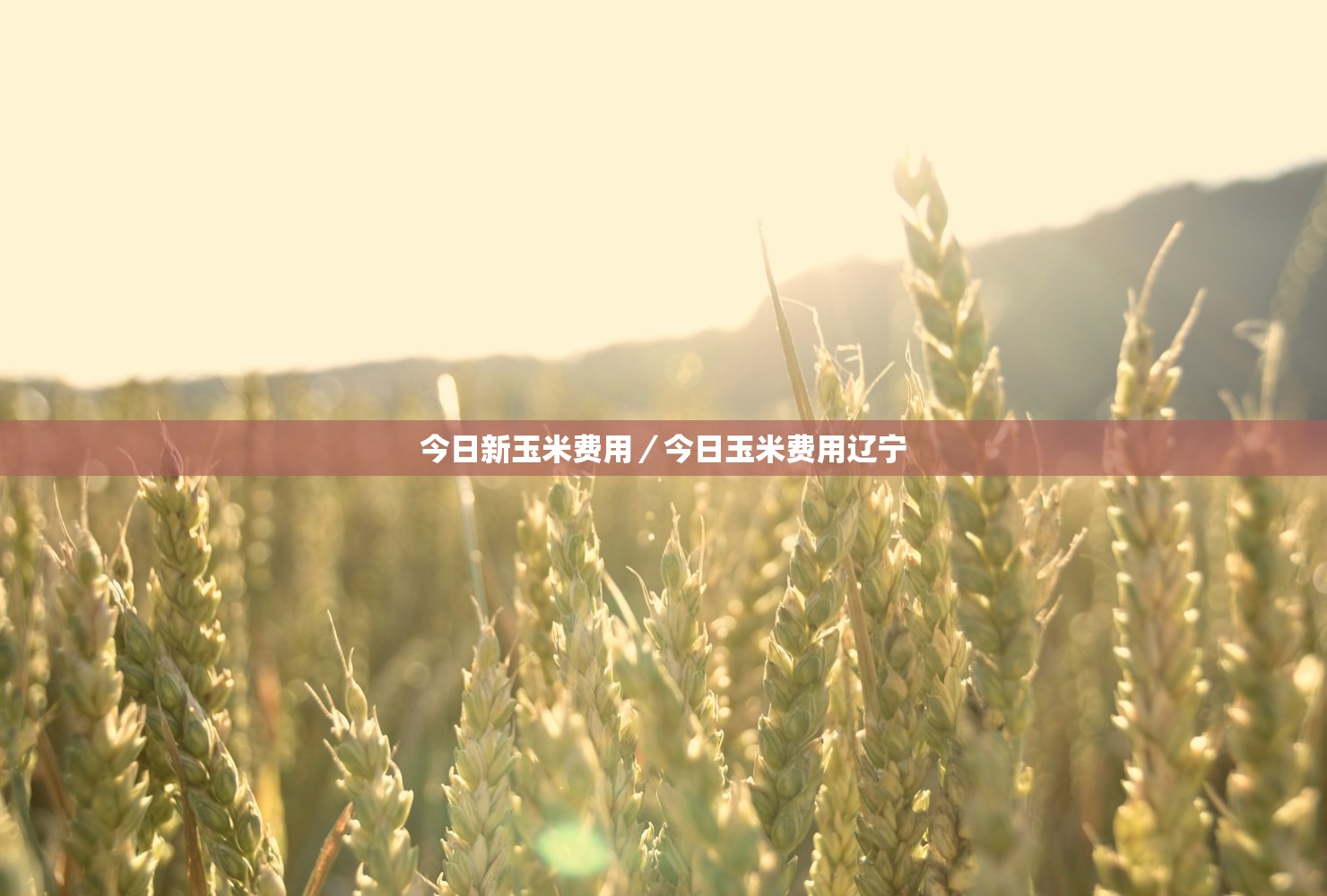 “上海新增11例境外输入病例” 上海新增11例境外输入病例多少？
