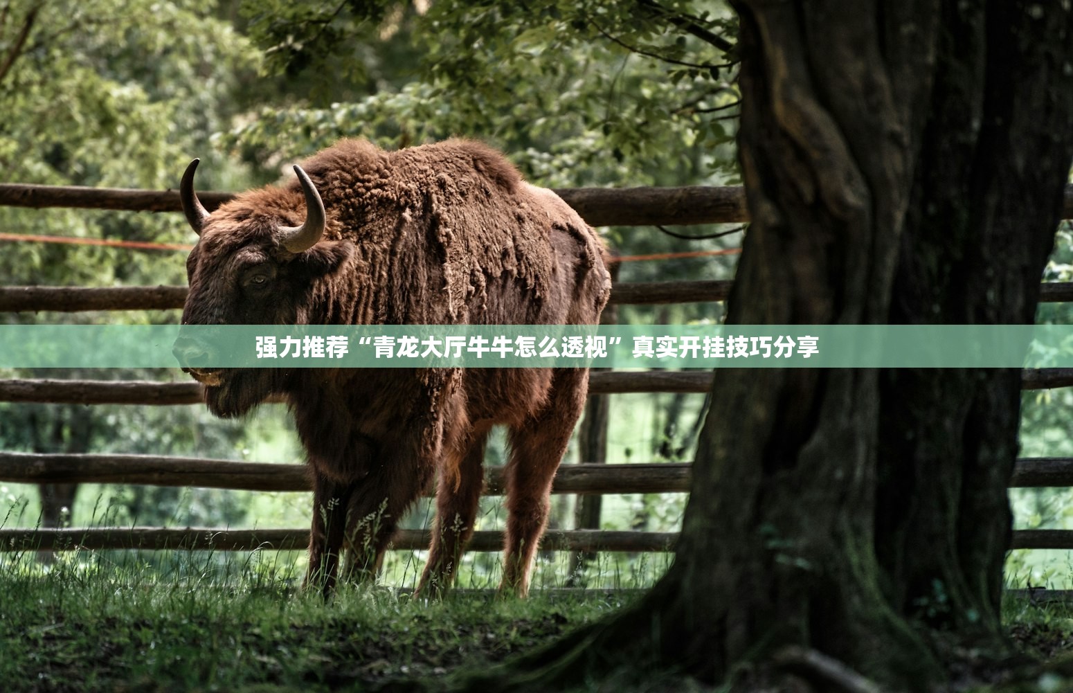 广州新增确诊及无症状感染者详情,广州新增确诊1例 广州新增确诊及无症状感染者详情,广州新增确诊1例
