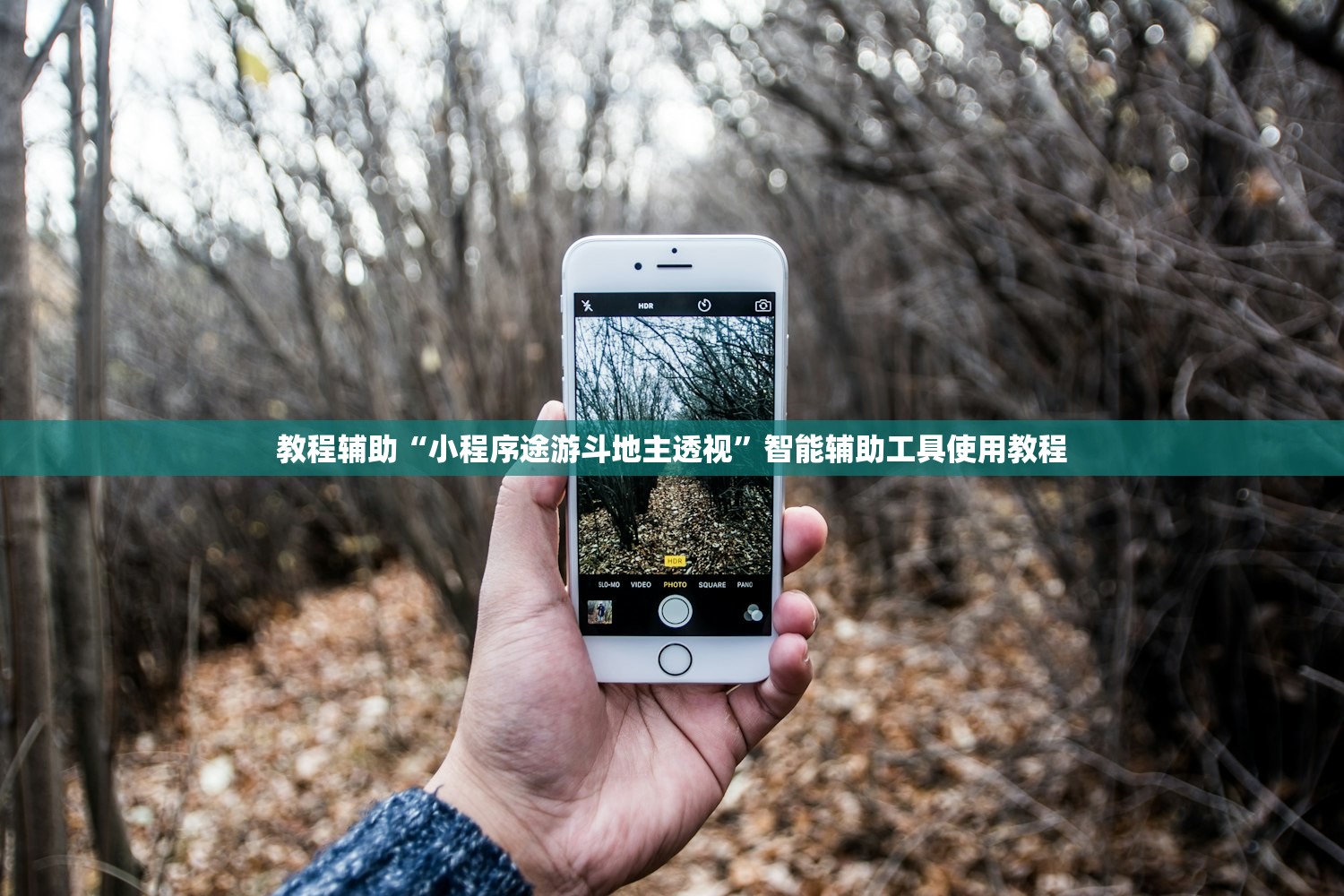 教程辅助“小程序途游斗地主透视”智能辅助工具使用教程