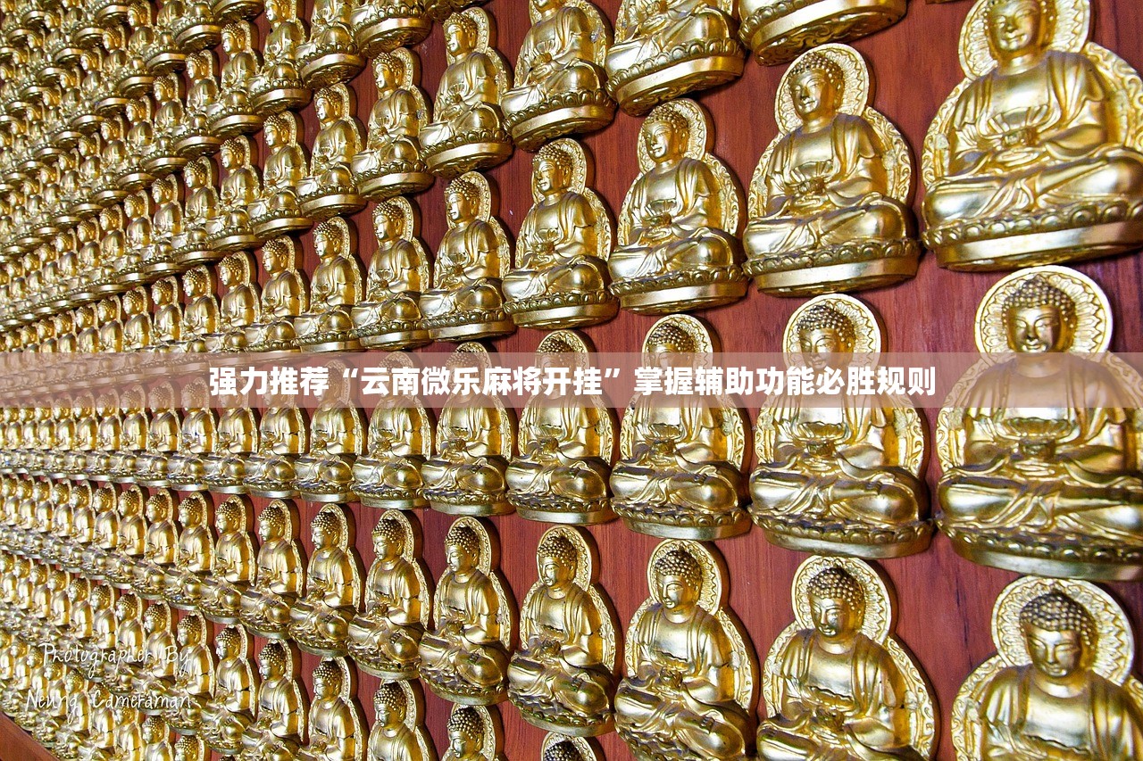 强力推荐“云南微乐麻将开挂”掌握辅助功能必胜规则