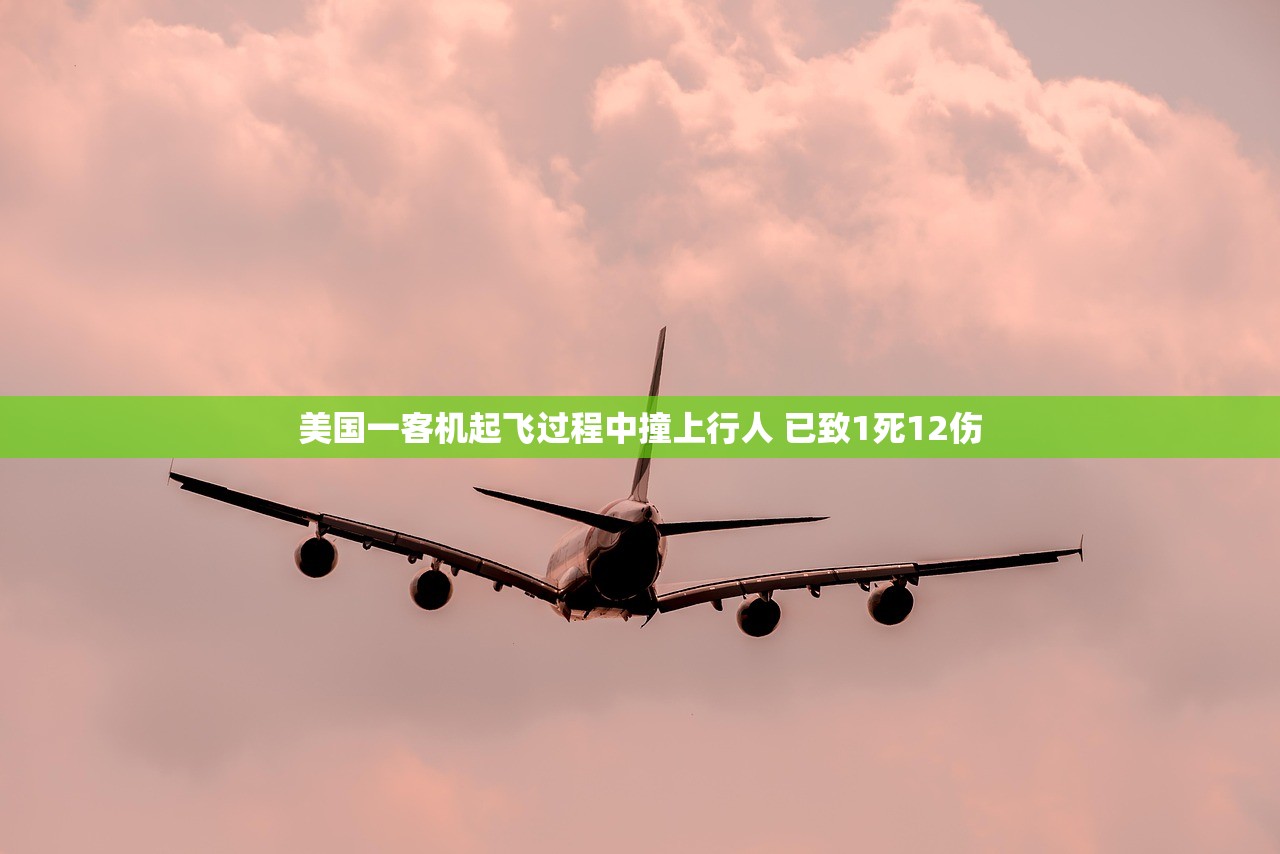 美国一客机起飞过程中撞上行人 已致1死12伤 美国一客机起飞过程中撞上行人 已致1死12伤