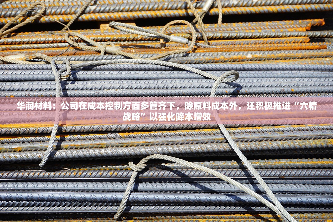 华润材料：公司在成本控制方面多管齐下，除原料成本外	，还积极推进“六精战略”以强化降本增效