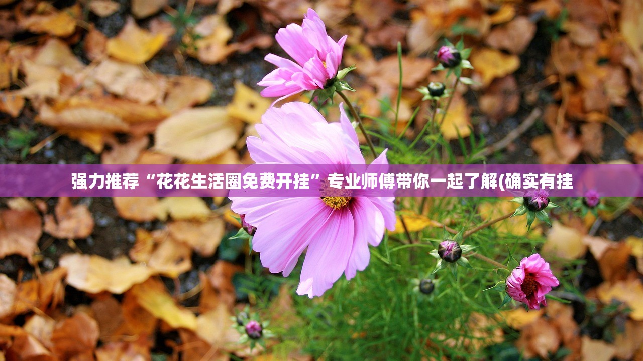 沈阳最新一例疫情〃沈阳疫情最新消息新增一例 沈阳最新一例疫情〃沈阳疫情最新消息新增一例