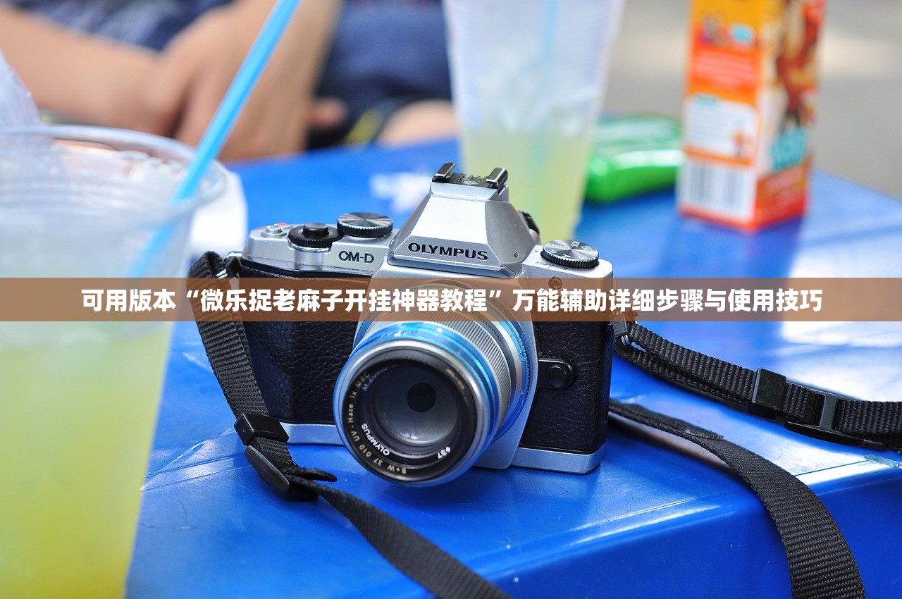 可用版本“微乐捉老麻子开挂神器教程	”万能辅助详细步骤与使用技巧