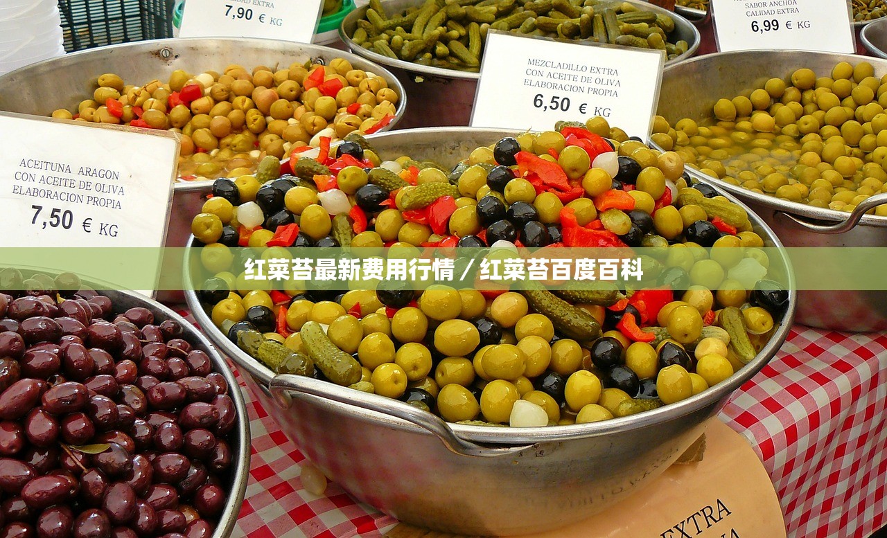 红菜苔最新费用行情／红菜苔百度百科