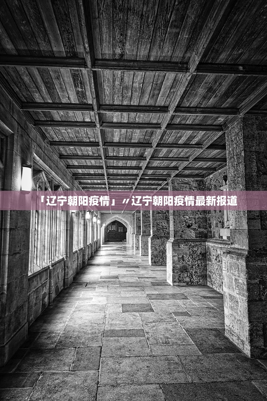 「辽宁朝阳疫情」〃辽宁朝阳疫情最新报道