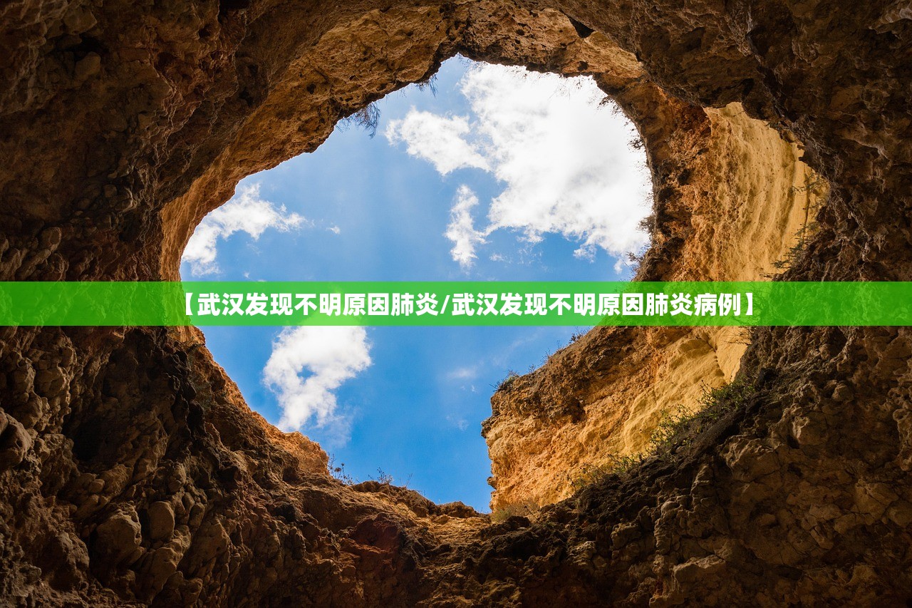 【武汉发现不明原因肺炎/武汉发现不明原因肺炎病例】