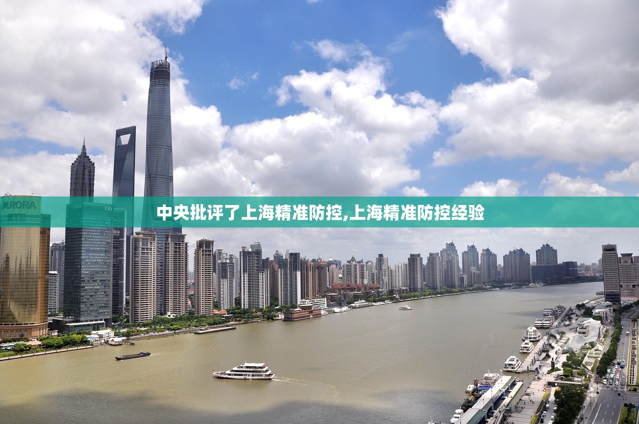 中央批评了上海精准防控,上海精准防控经验