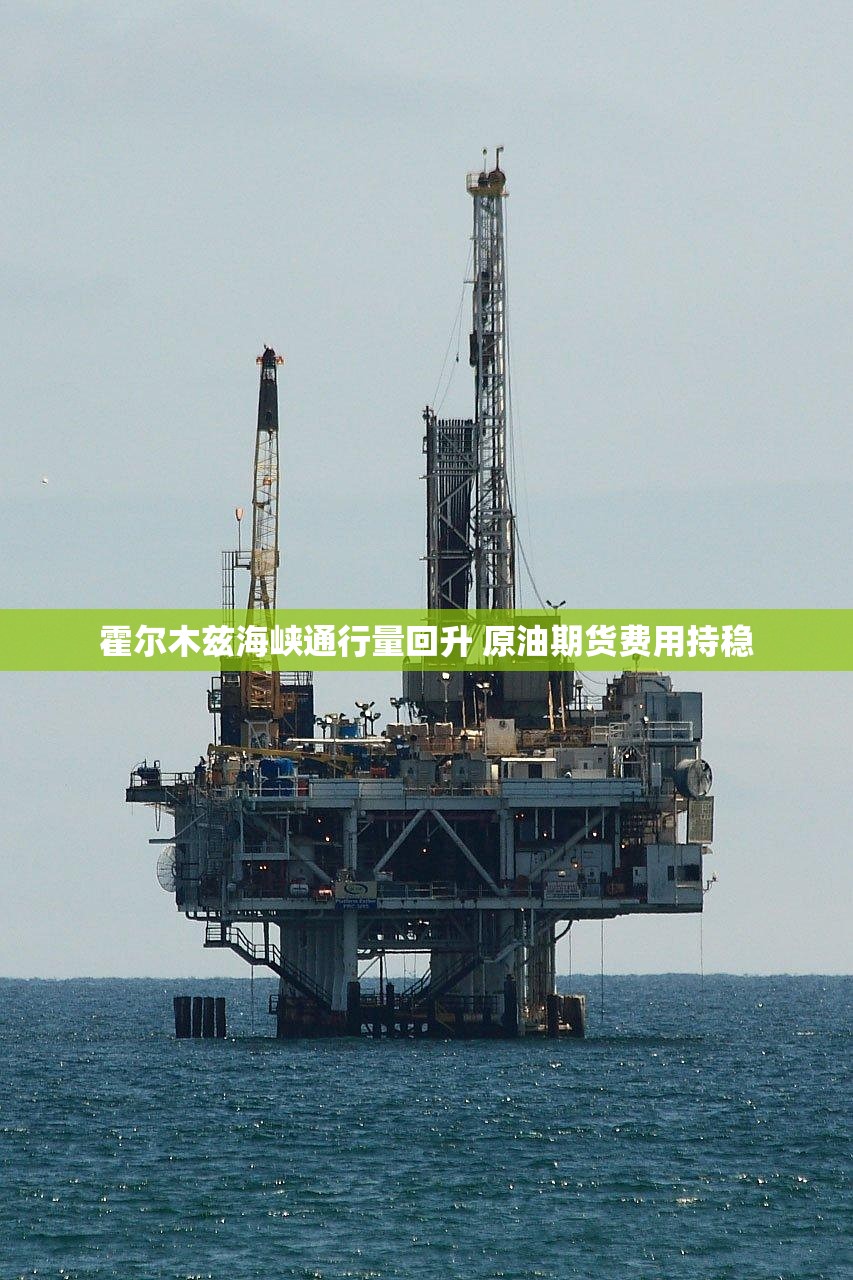 霍尔木兹海峡通行量回升 原油期货费用持稳 霍尔木兹海峡通行量回升 原油期货费用持稳