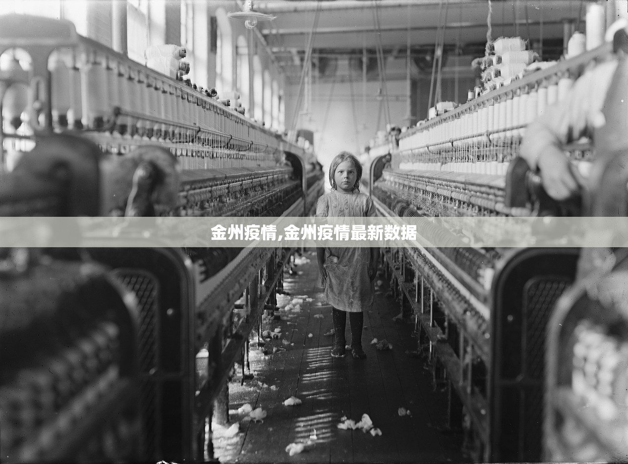 金州疫情,金州疫情最新数据