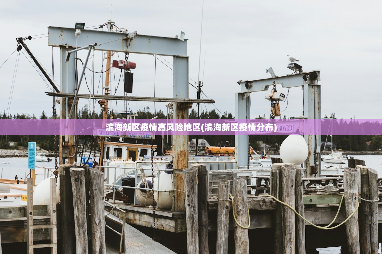 滨海新区疫情高风险地区(滨海新区疫情分布) 滨海新区疫情高风险地区(滨海新区疫情分布)