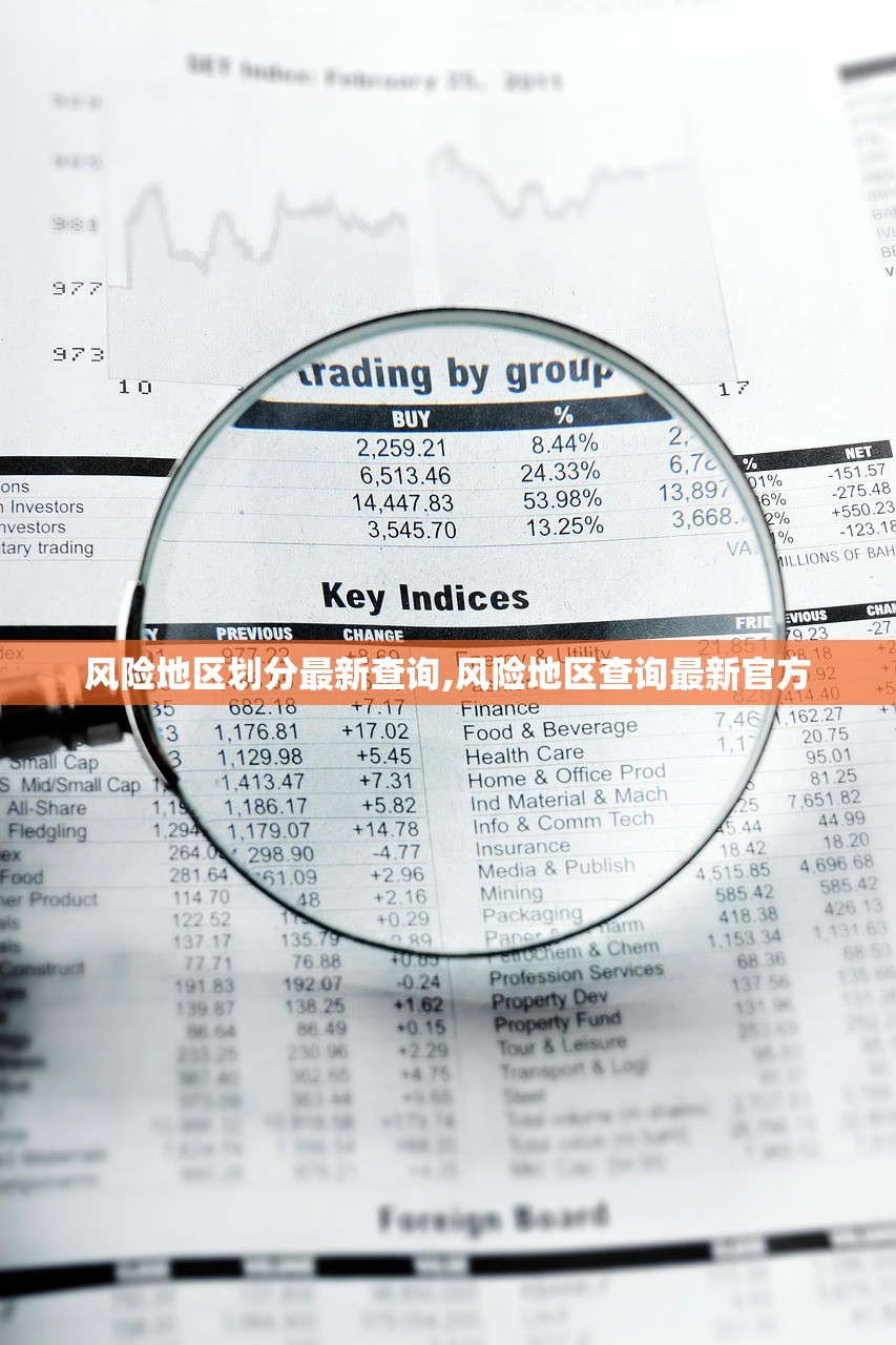 风险地区划分最新查询,风险地区查询最新官方