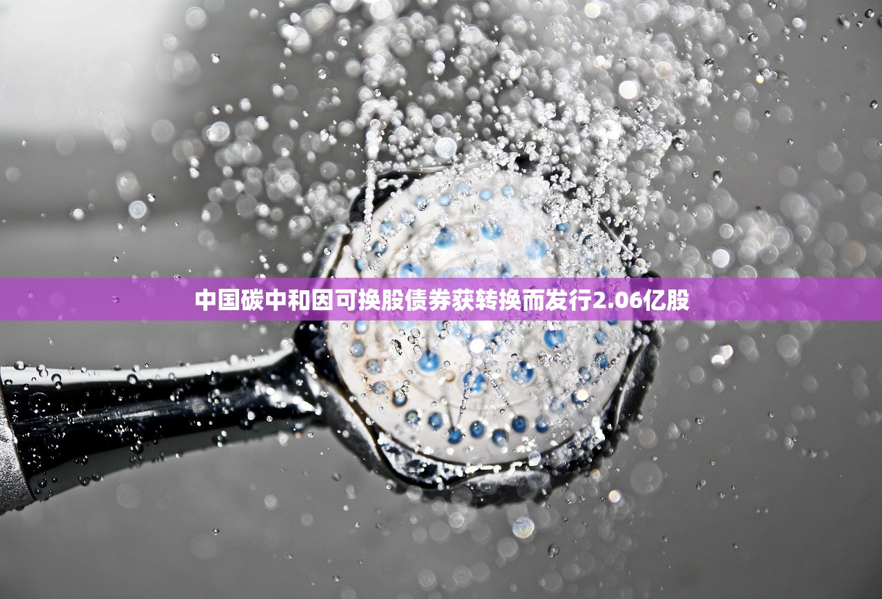 中国碳中和因可换股债券获转换而发行2.06亿股 中国碳中和因可换股债券获转换而发行2.06亿股