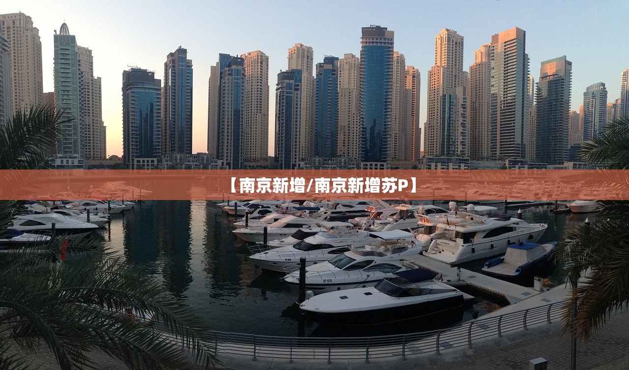 【南京新增/南京新增苏P】