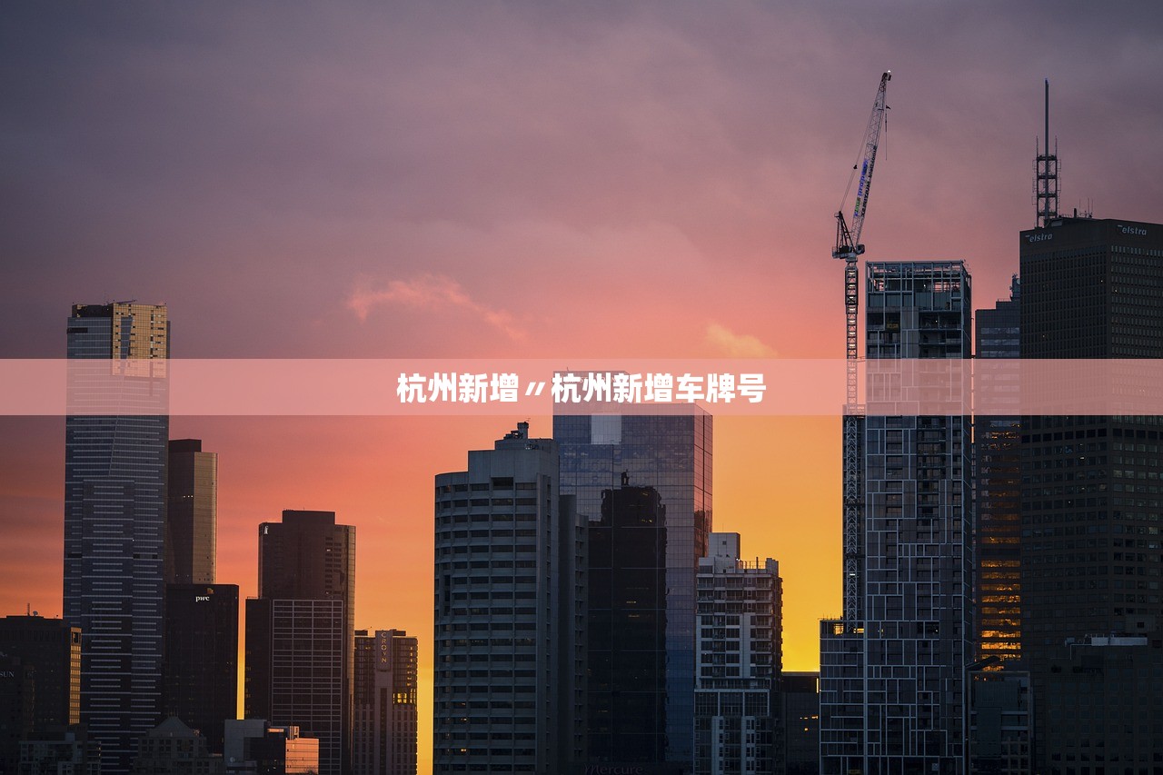 杭州新增〃杭州新增车牌号 杭州新增〃杭州新增车牌号