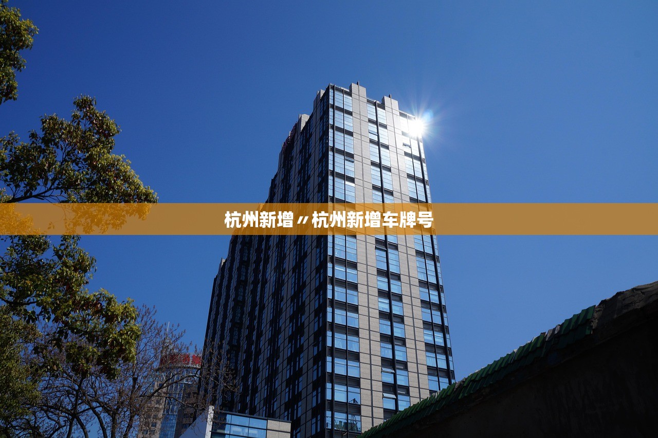 杭州新增〃杭州新增车牌号 杭州新增〃杭州新增车牌号