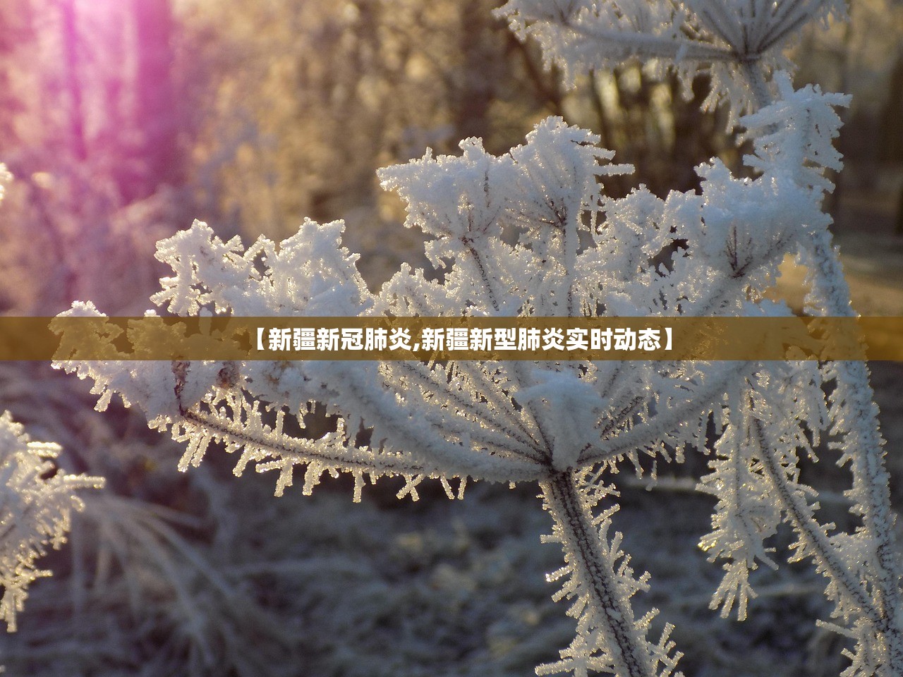 润建股份：公司充分看好算力业务发展，会持续增加投入，近来规划仍然在进行中