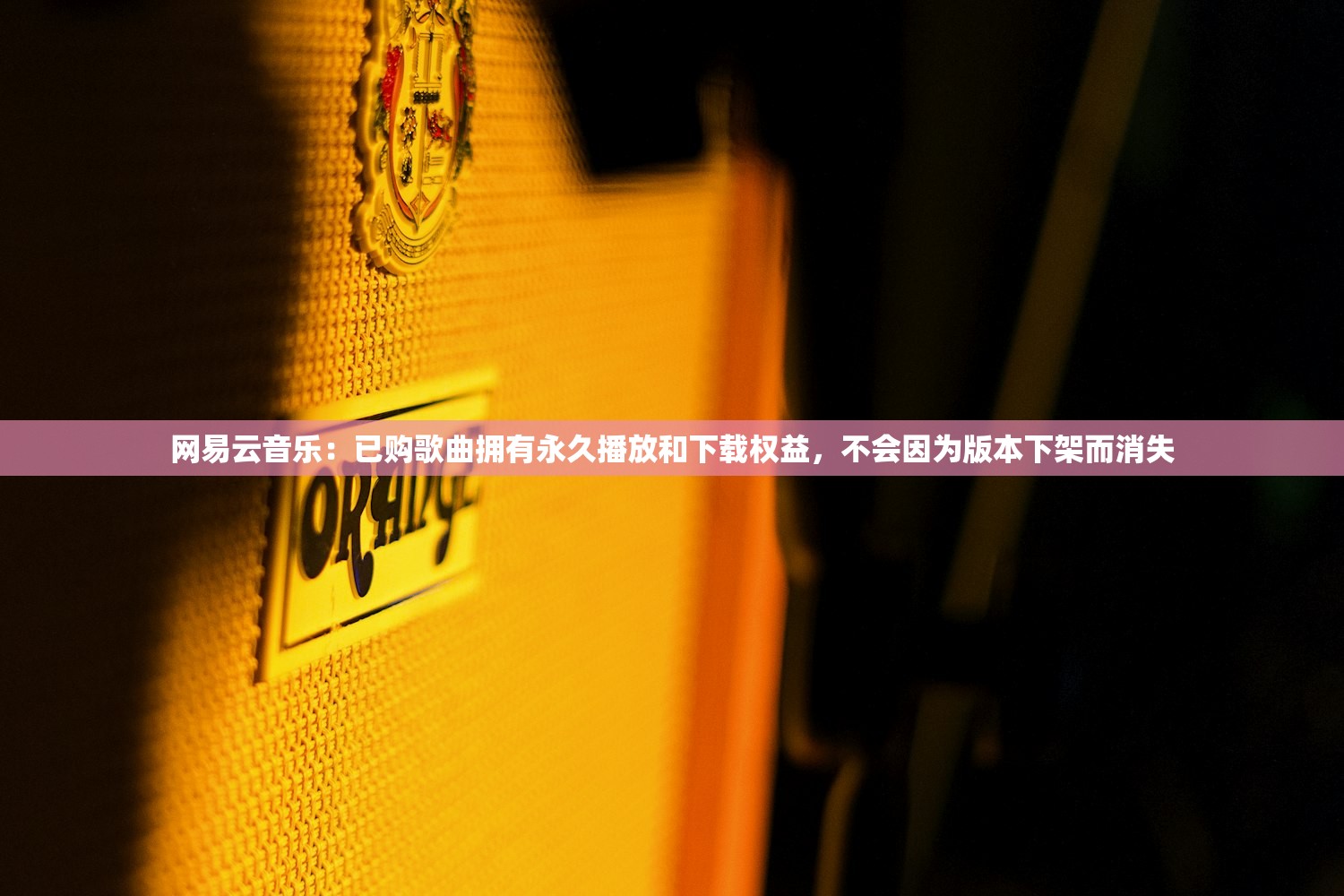 网易云音乐：已购歌曲拥有永久播放和下载权益	，不会因为版本下架而消失