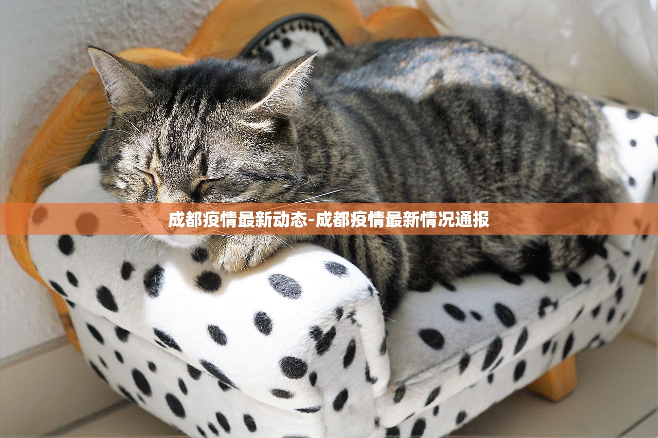成都疫情最新动态-成都疫情最新情况通报