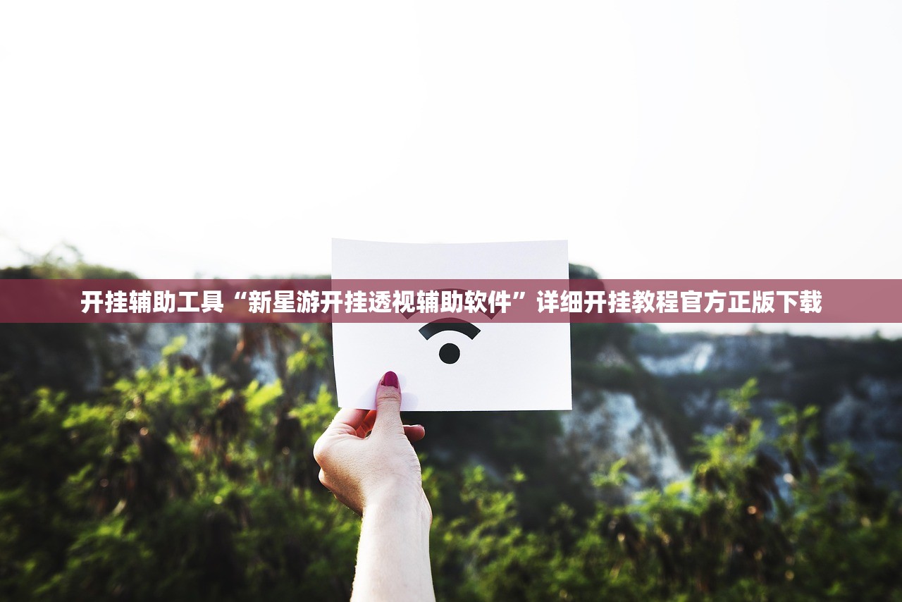 开挂辅助工具“新星游开挂透视辅助软件”详细开挂教程官方正版下载