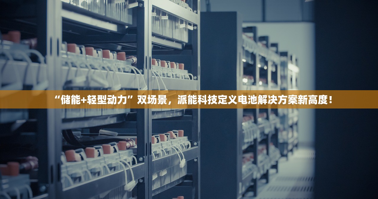 “储能+轻型动力”双场景，派能科技定义电池解决方案新高度！