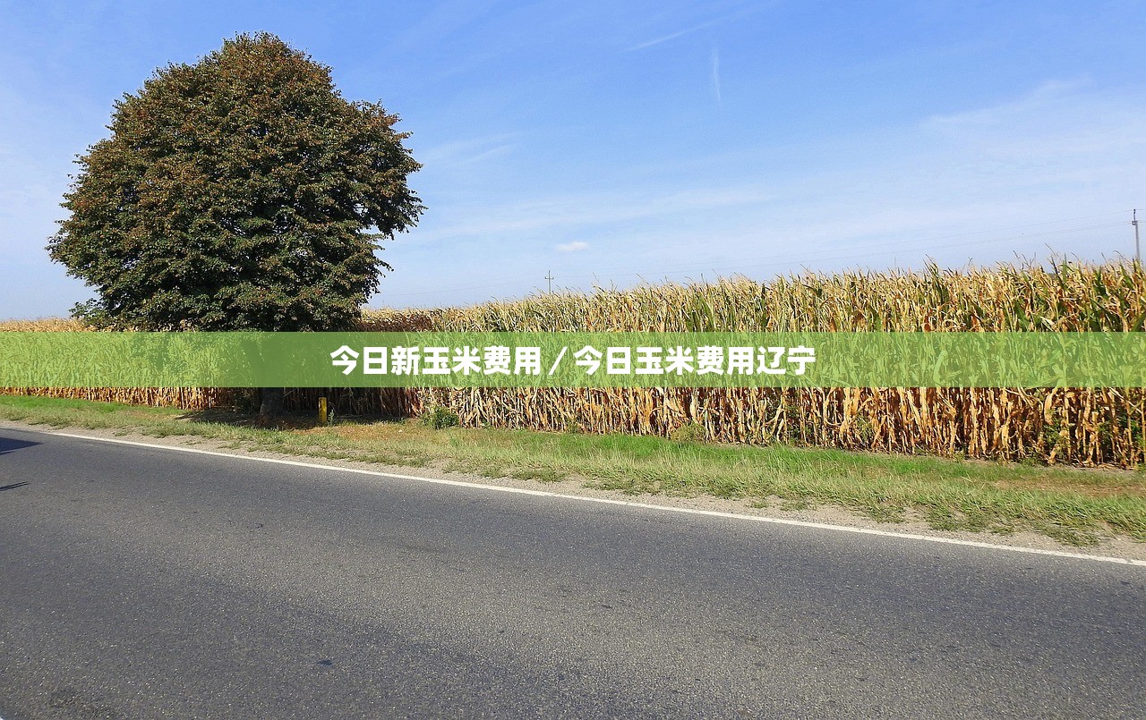今日新玉米费用／今日玉米费用辽宁