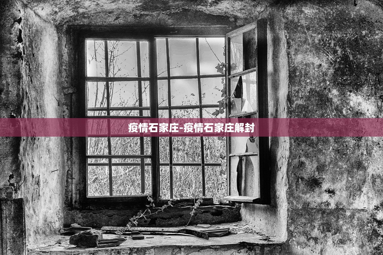 疫情石家庄-疫情石家庄解封
