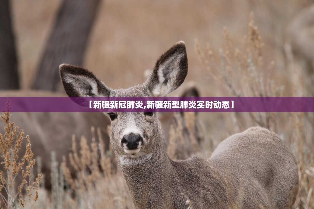 北京今天又出现一例,今天北京新增一个确诊病例 新闻