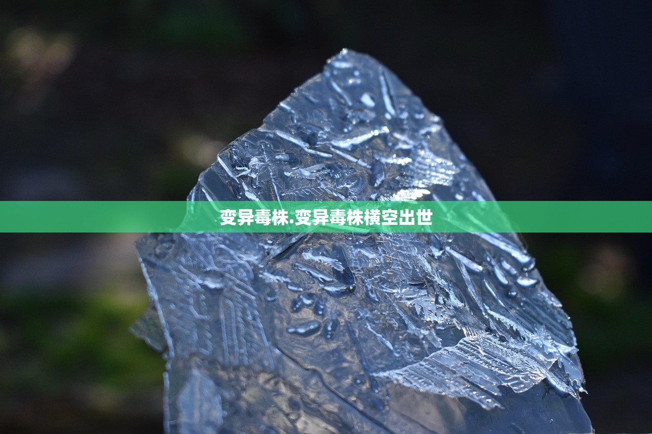 安徽疫情最新情况︰(安徽疫情最新情况) 安徽疫情最新情况︰(安徽疫情最新情况)