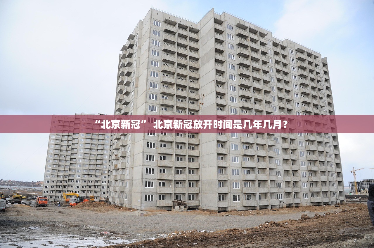 “北京新冠” 北京新冠放开时间是几年几月？