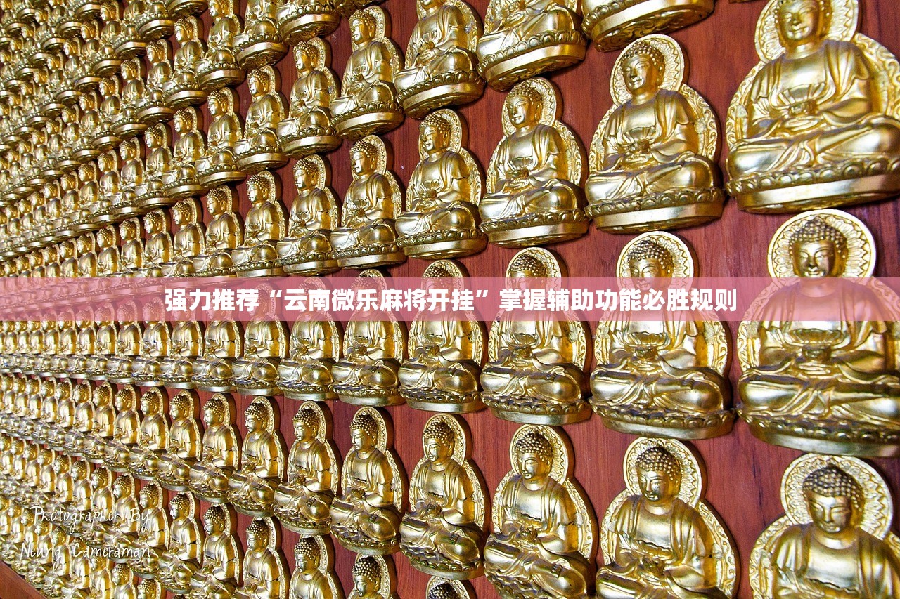 强力推荐“云南微乐麻将开挂	”掌握辅助功能必胜规则