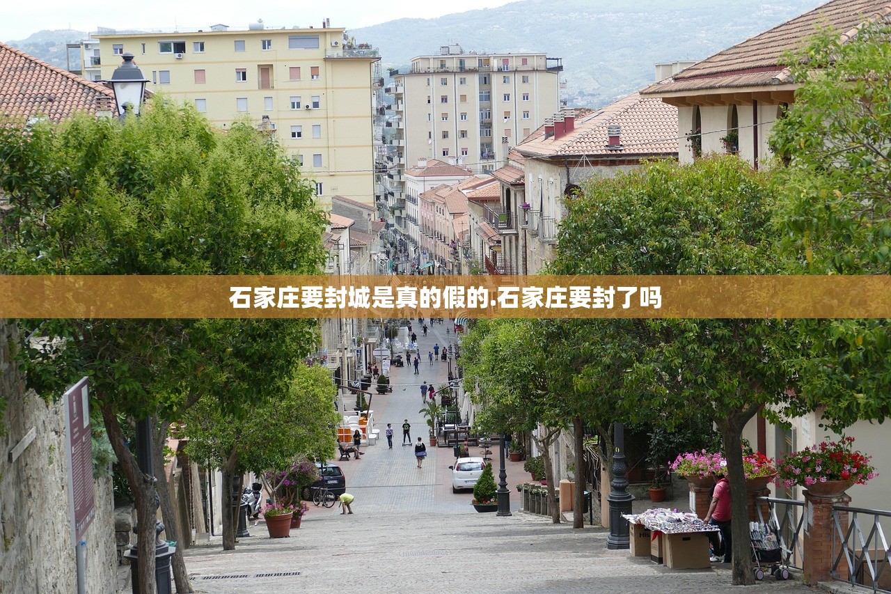 石家庄要封城是真的假的.石家庄要封了吗 石家庄要封城是真的假的.石家庄要封了吗