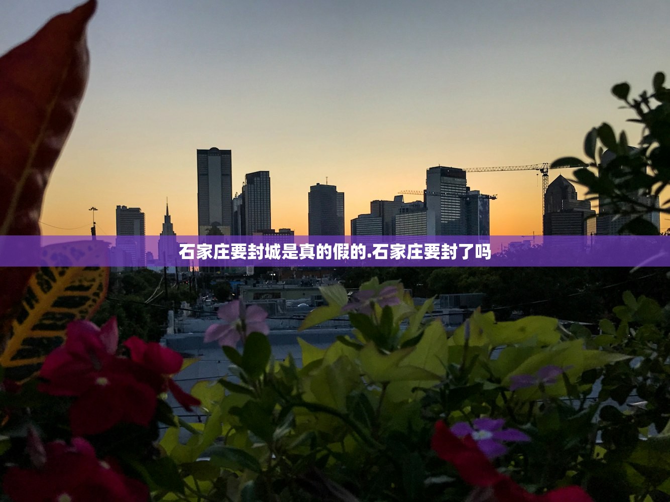 今日教程“衢州双扣怎么开挂神器”附开挂脚本详细教程