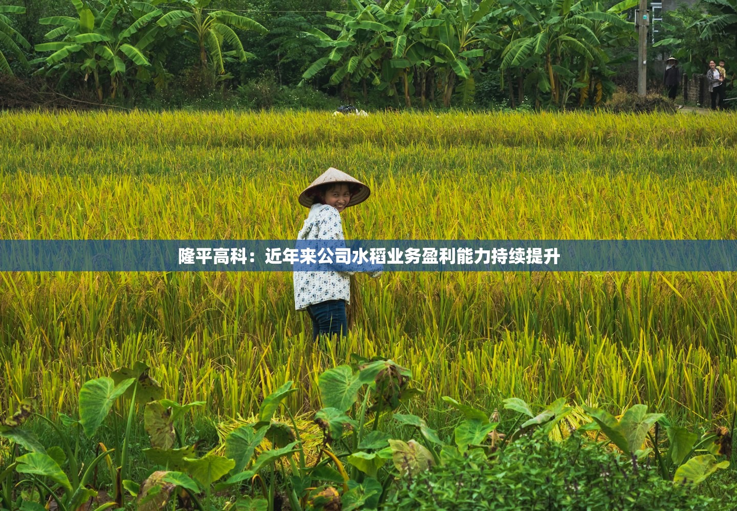 31省新增疫情最新消息〃31省新增病例10例