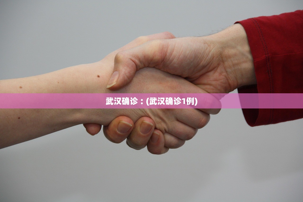 武汉确诊︰(武汉确诊1例)