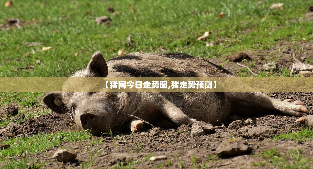 【猪网今日走势图,猪走势预测】 【猪网今日走势图,猪走势预测】