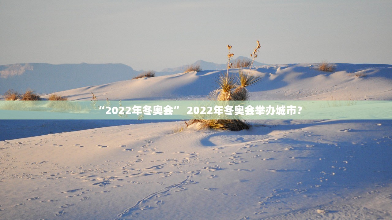 “2022年冬奥会” 2022年冬奥会举办城市？