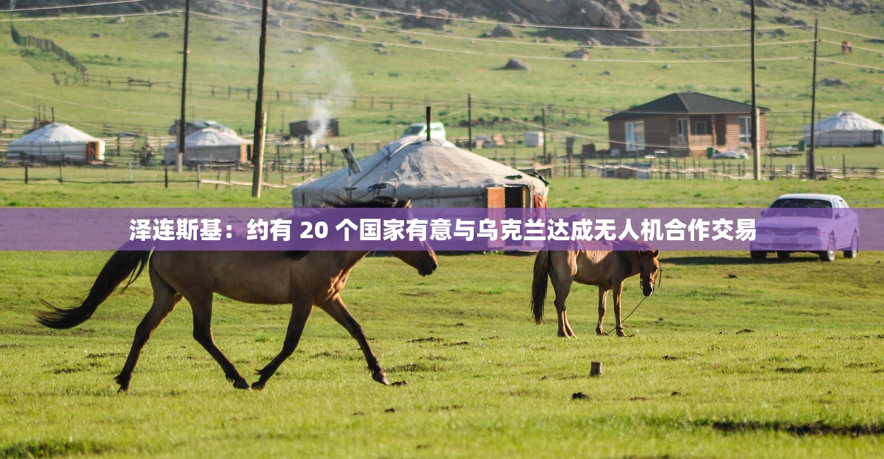 泽连斯基：约有 20 个国家有意与乌克兰达成无人机合作交易