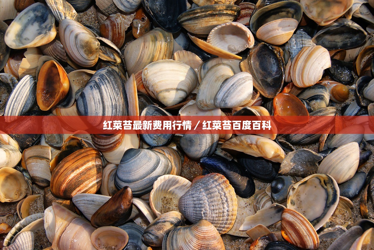 红菜苔最新费用行情/红菜苔百度百科 红菜苔最新费用行情/红菜苔百度百科