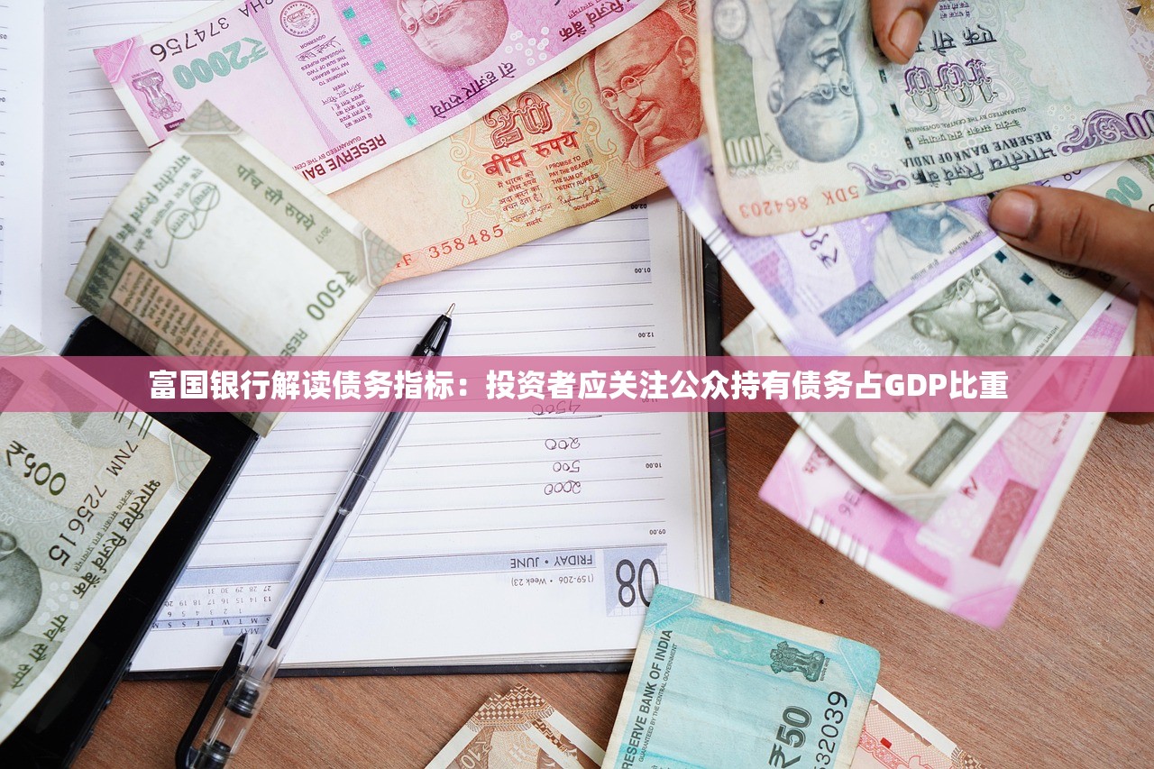 富国银行解读债务指标：投资者应关注公众持有债务占GDP比重